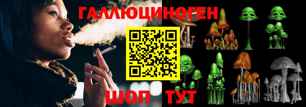 купить наркотик  Галлюциногенные грибы мицелий  Вход с VPN  Шелехов 